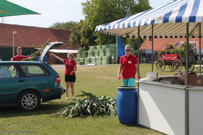 3. Feldtag 2012 - Der Aufbau, Bild 139