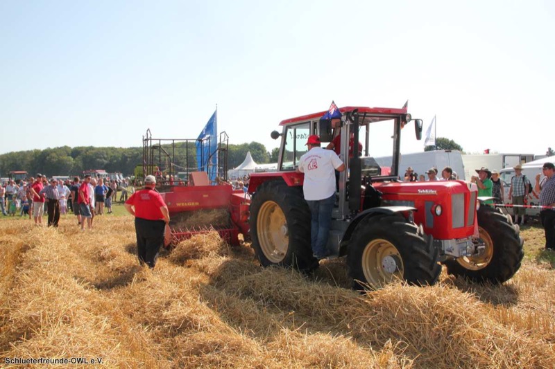 3. Feldtag 2012, Bild 5