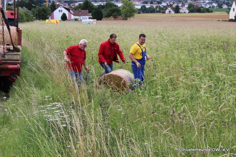 3. Feldtag 2012 - Strohtrecker, Bild 15