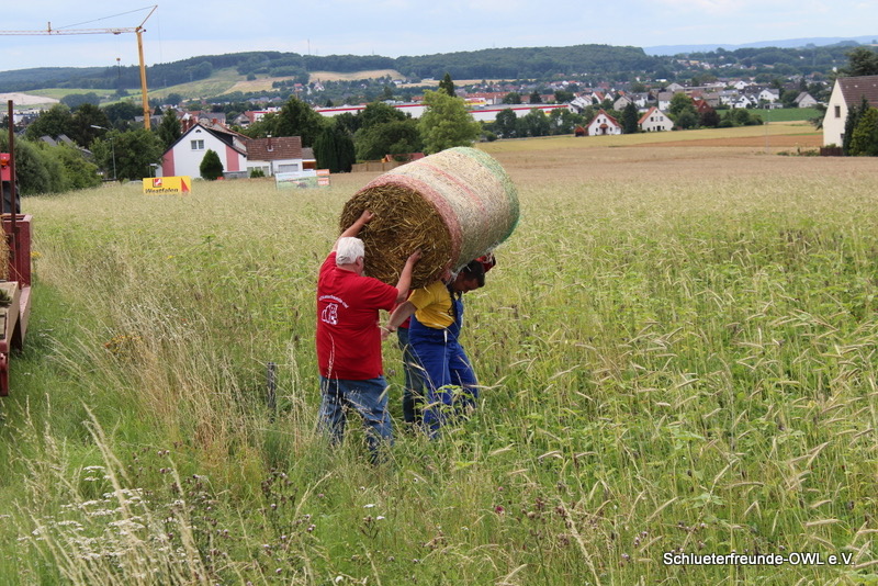 3. Feldtag 2012 - Strohtrecker, Bild 17
