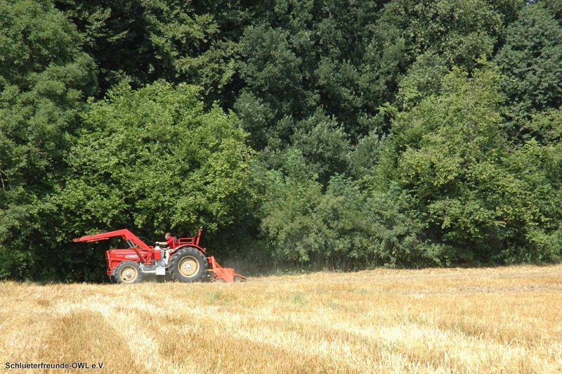 kleiner Feldtag 2013, Bild 7