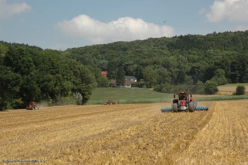 kleiner Feldtag 2013, Bild 14
