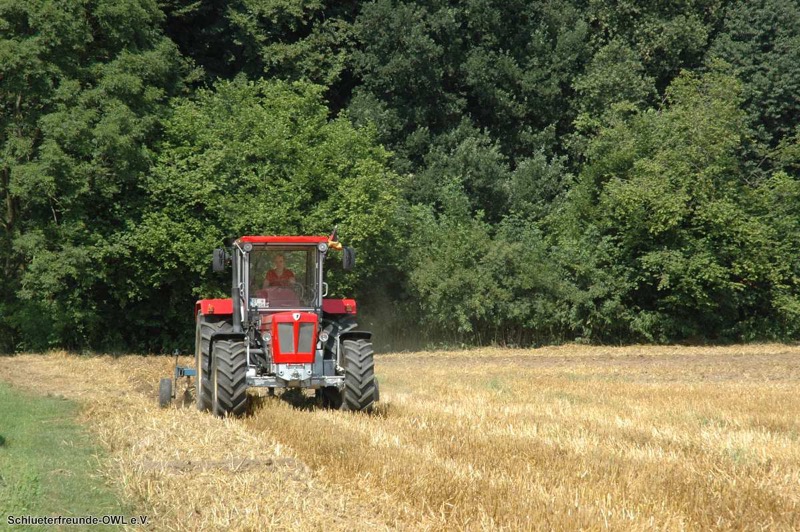 kleiner Feldtag 2013, Bild 19