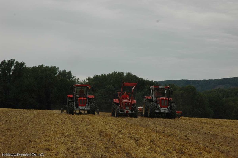 kleiner Feldtag 2013, Bild 78