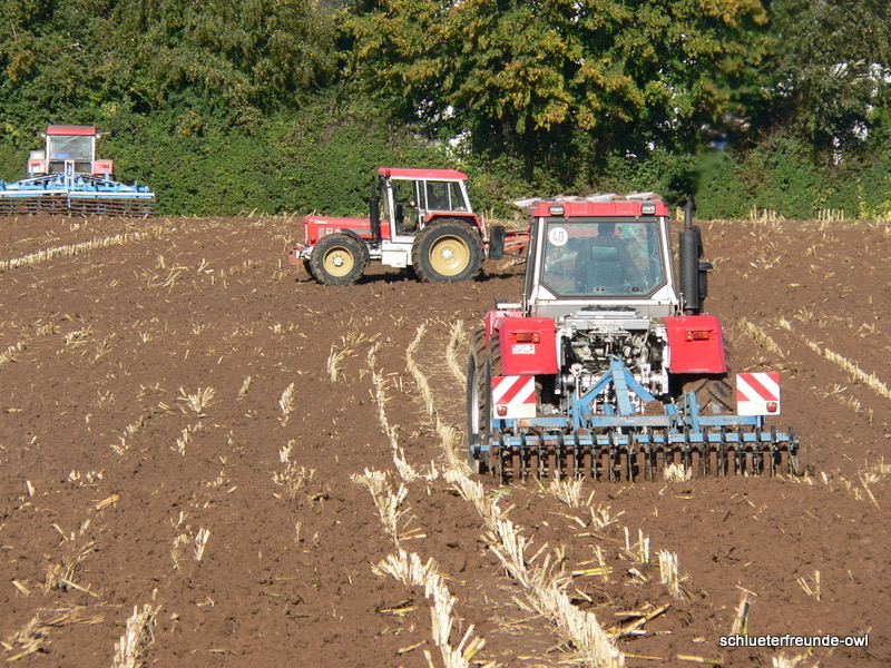 kleiner Feldtag, Bild 18