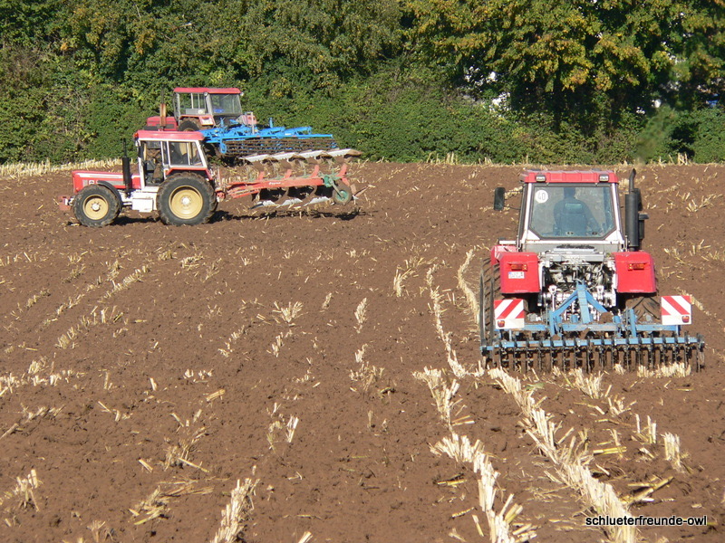 kleiner Feldtag, Bild 19