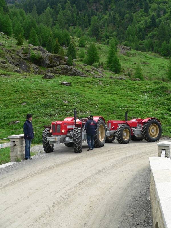 1.Stilfserjoch Oldtimer Traktor, Bild 161