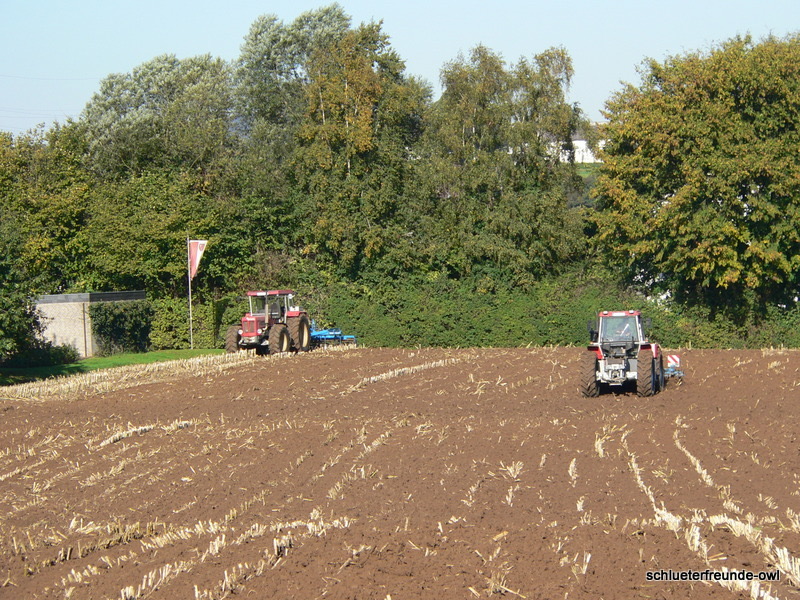kleiner Feldtag, Bild 20