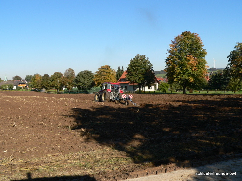 kleiner Feldtag, Bild 23