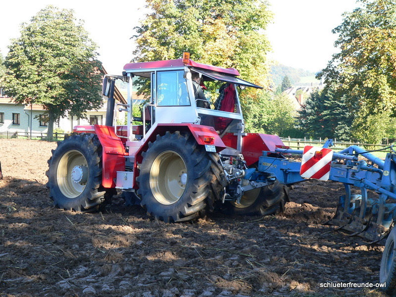 kleiner Feldtag, Bild 24