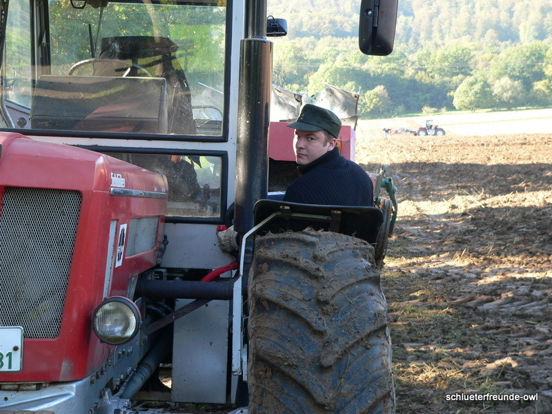 kleiner Feldtag, Bild 25