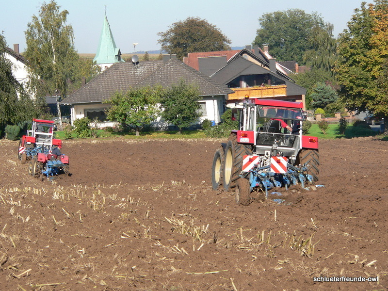 kleiner Feldtag, Bild 28