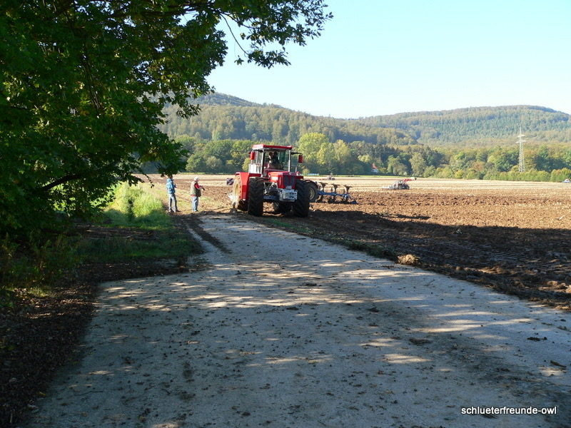 kleiner Feldtag, Bild 29