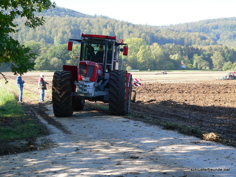 kleiner Feldtag, Bild 30