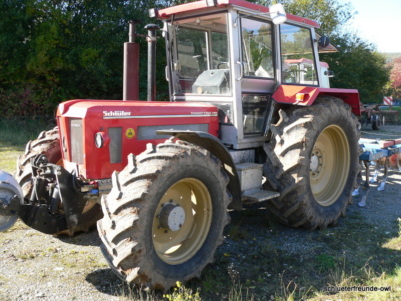 kleiner Feldtag, Bild 41