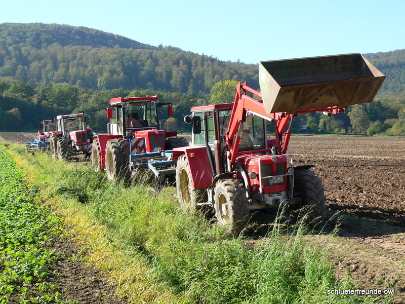 kleiner Feldtag, Bild 42