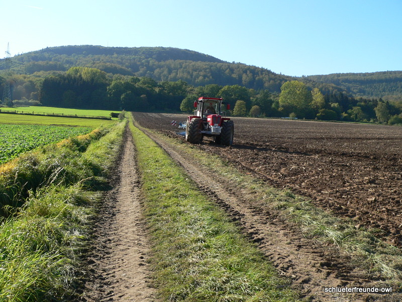 kleiner Feldtag, Bild 49