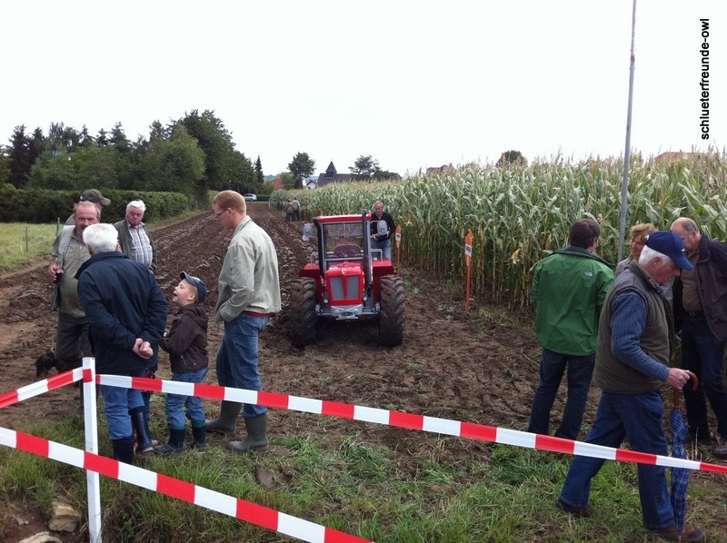 Erder Mais, Bild 10