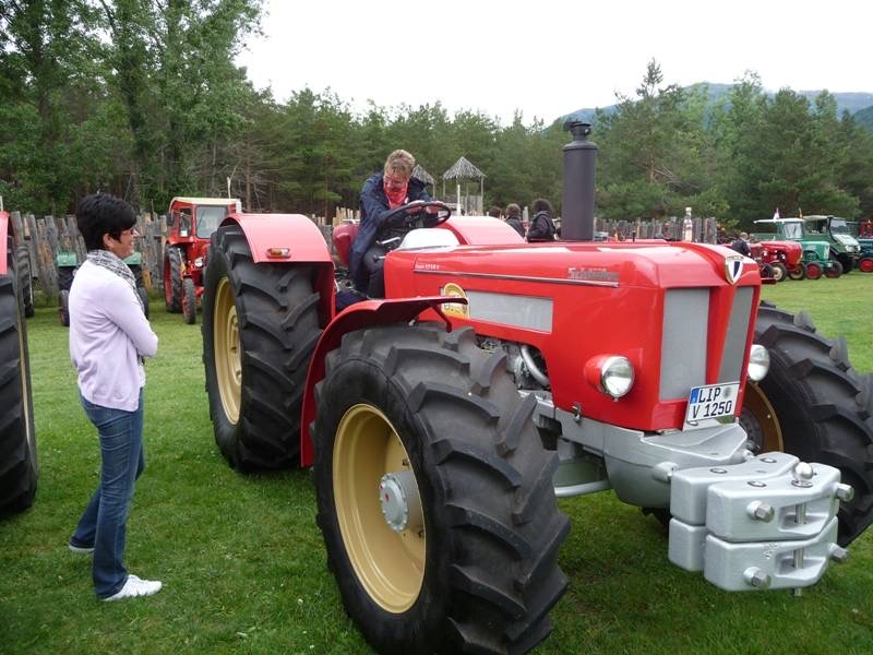 1.Stilfserjoch Oldtimer Traktor, Bild 241