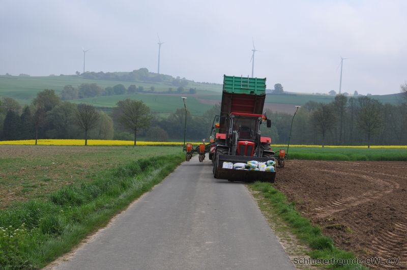 Mais legen, Bild 3