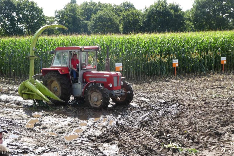 Aurich, Bild 43