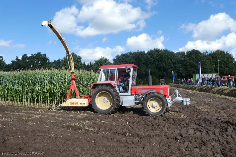 Aurich, Bild 48