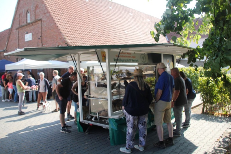 Bauernmarkt, Bild 22