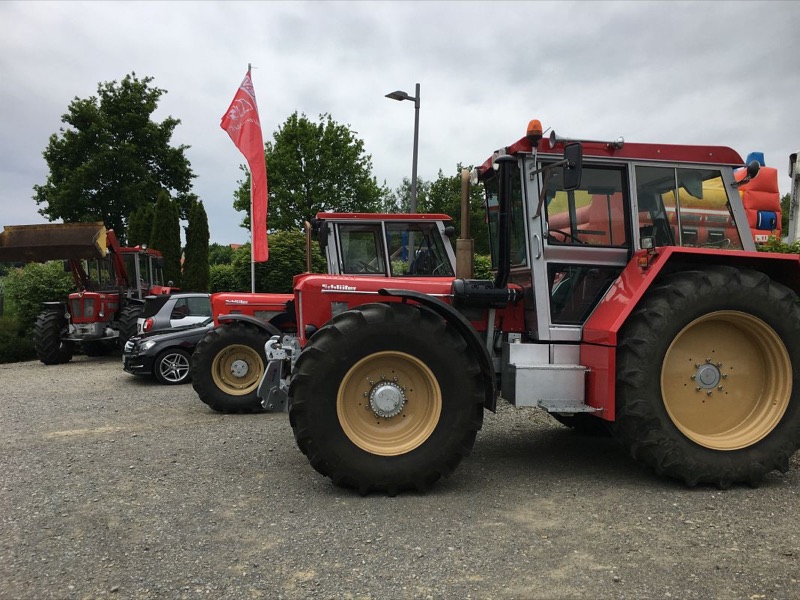 2019, Bild 2