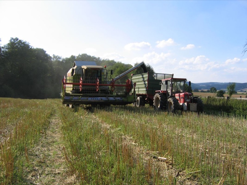 Schlüter 1250 Compact