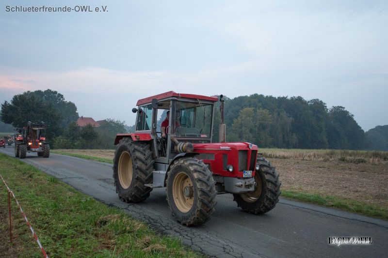 4. Feldtag 2014, Bild 2