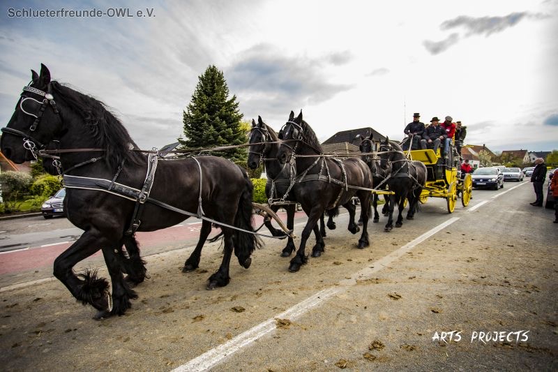 Treckercorso, Bild 76