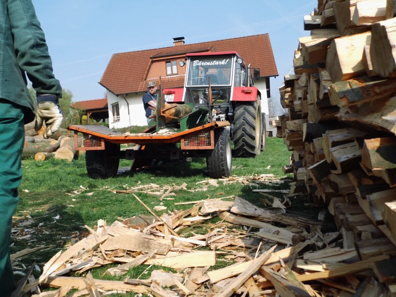 Holz spalten, Bild 2