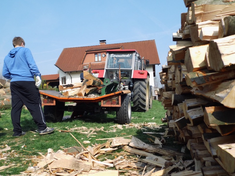 Holz spalten, Bild 3