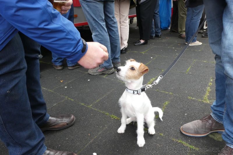 Landfrauentag Enger, Bild 15