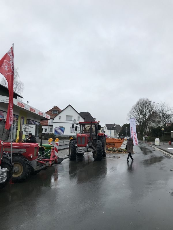 2019, Bild 5