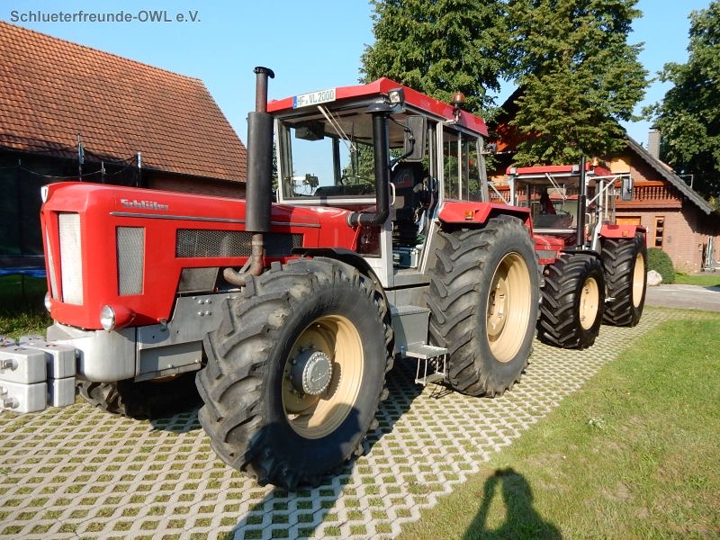 2015, Bild 6