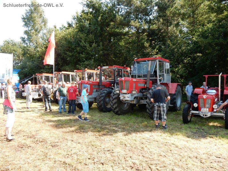Gütersloh, Bild 29