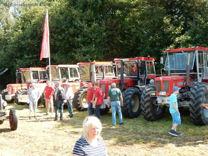 Gütersloh, Bild 30