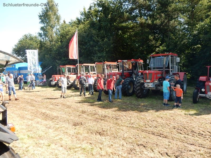 Gütersloh, Bild 32