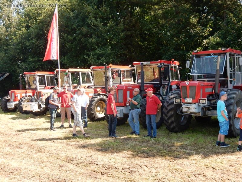 Gütersloh, Bild 33
