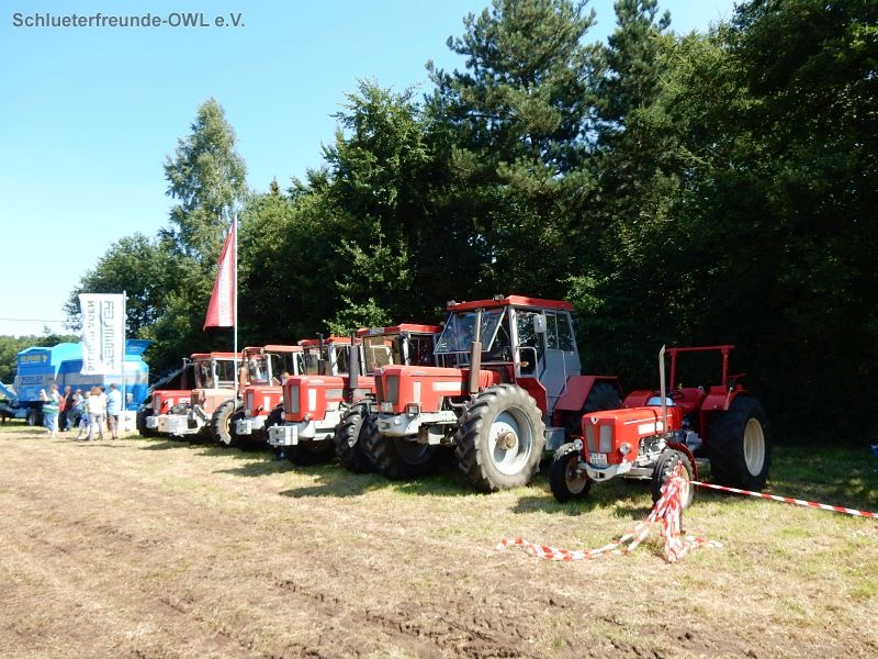 Gütersloh, Bild 77