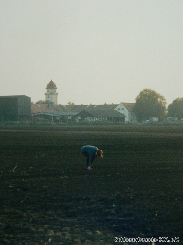 Feldttag 1993, Bild 43