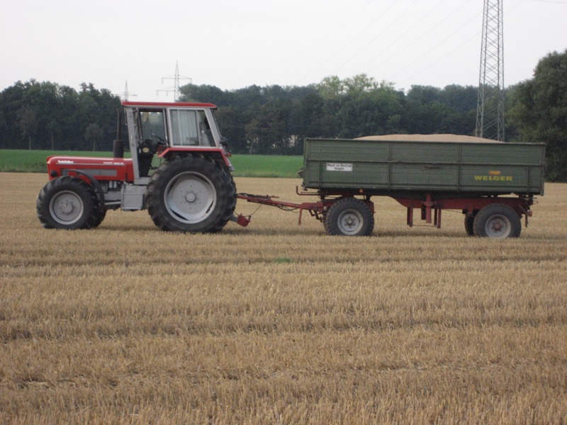 Getreideernte, Bild 3