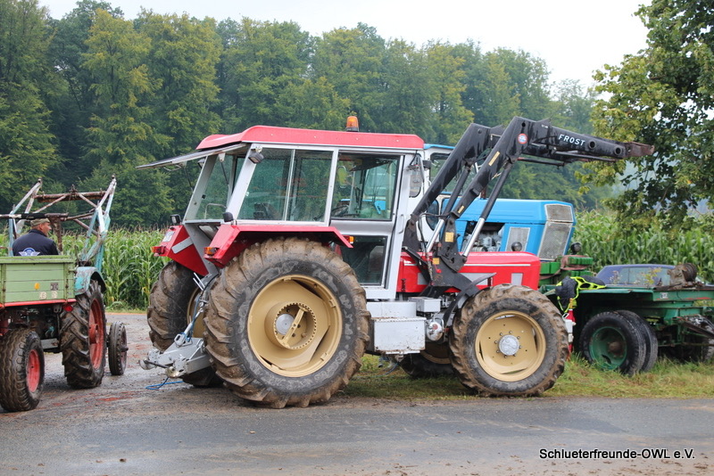 Wahrendahl, Bild 12