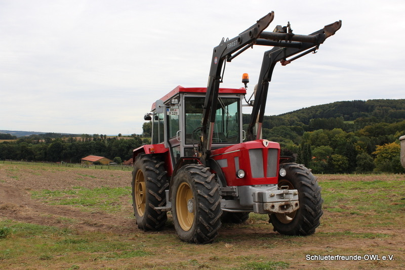 Eschenbruch, Bild 12