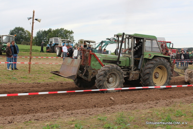 Eschenbruch, Bild 22