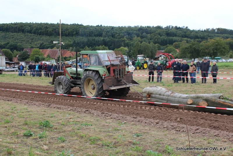 Eschenbruch, Bild 23