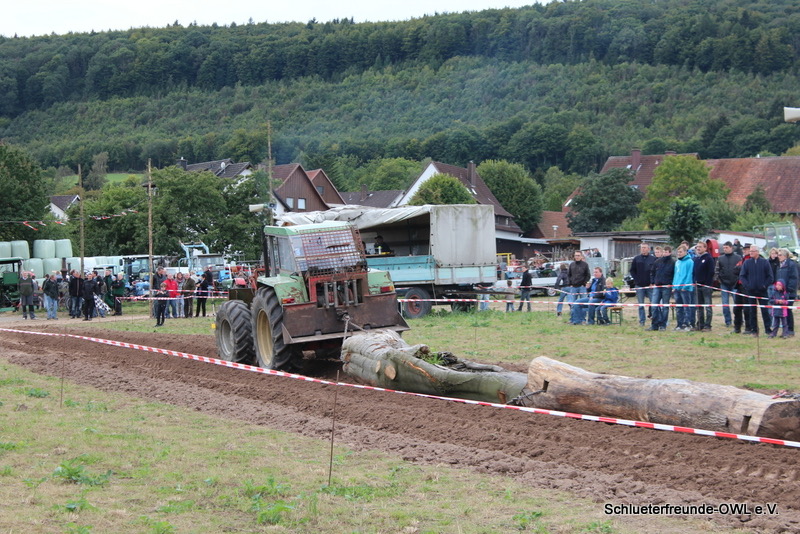 Eschenbruch, Bild 24