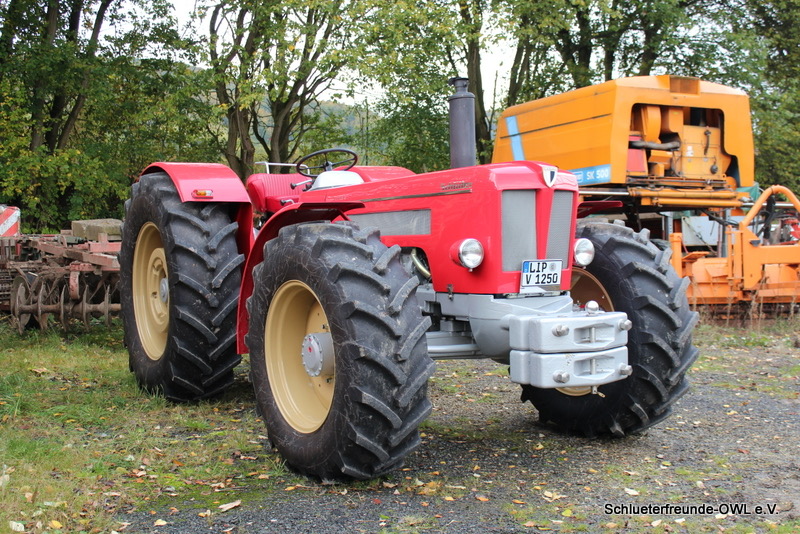 kleiner Feldtag, Bild 5
