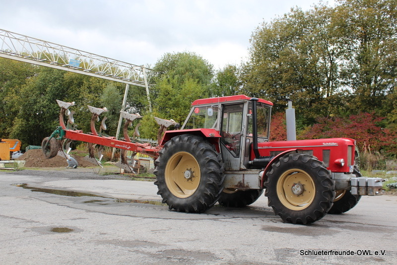 kleiner Feldtag, Bild 12